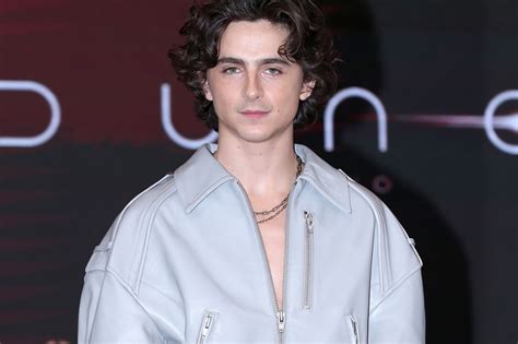 timothee chalamet nude|Timothee Chalamet is Bob Dullen